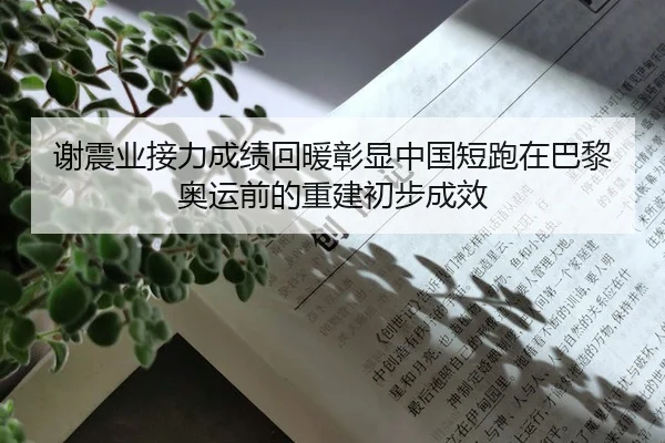 谢震业接力成绩回暖彰显中国短跑在巴黎奥运前的重建初步成效