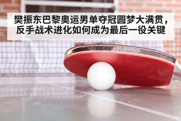 Fan Zhendong backhand Olympics