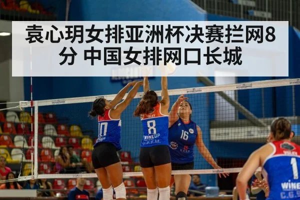 袁心玥女排亚洲杯决赛拦网8分 中国女排网口长城