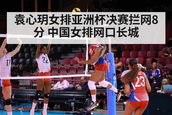 China volleyball net defense